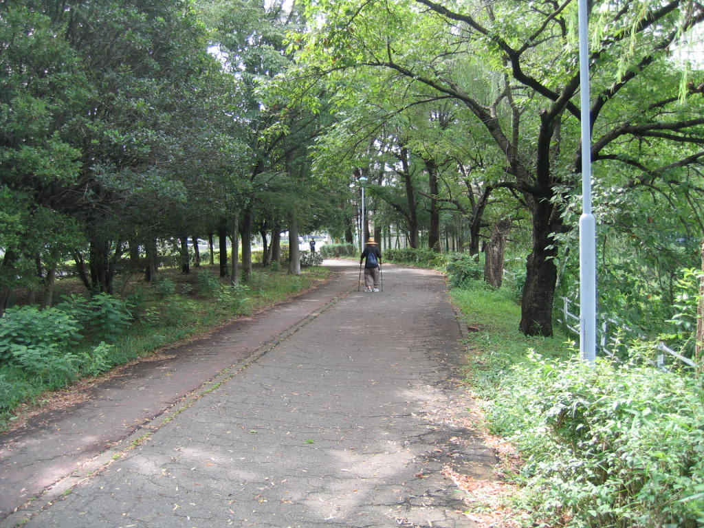 弦代公園の散歩道